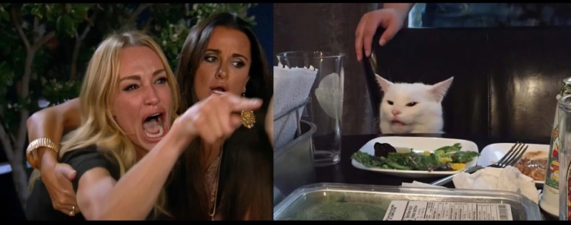 Создать мем: мемы с котиками, rt на русском, женщина орёт на кота мем