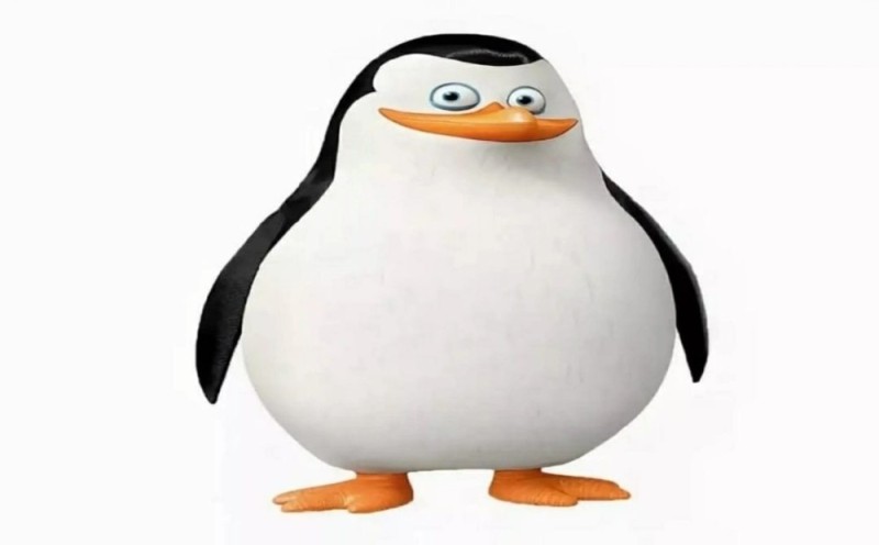 Create meme: penguins from madagascar private, the penguins of Madagascar , penguins of madagascar private