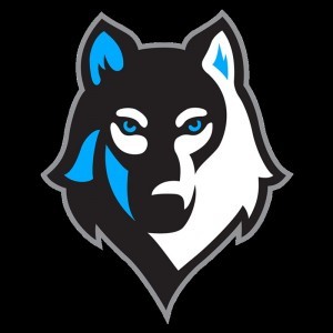 Create meme: Dynamo wolf emblem, wolf logo, the logo of the wolf