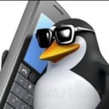 Создать мем: забивной пингвин, мем пингвин, пингвин с телефоном