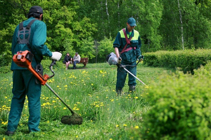 Create meme: lawn cleaning, lawn mower, mowing grass