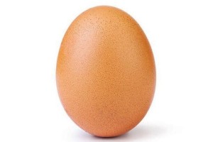 Создать мем: яйцо инстаграм, яйцо на белом фоне, простое яйцо