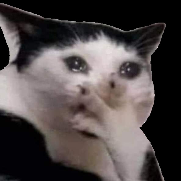 Create meme: memes , seals , stoned cats memes to tears