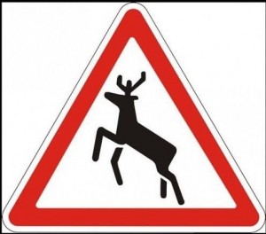 Create meme: sign 1.27 wild animals pictures, traffic signs cow, sign wild animals