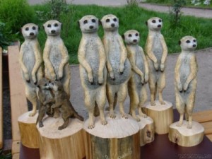 Создать мем: анималистическая скульптура, зоопарк, meerkat