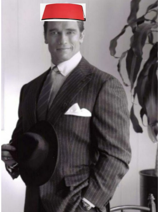 Create meme: arnold schwarzenegger poster, Arnold Schwarzenegger in a suit, the young Schwarzenegger