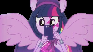 Create meme: eqg, mlp equestria girls, princess twilight sparkle
