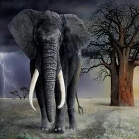 Создать мем: большие слоны, слон, красивые слоны