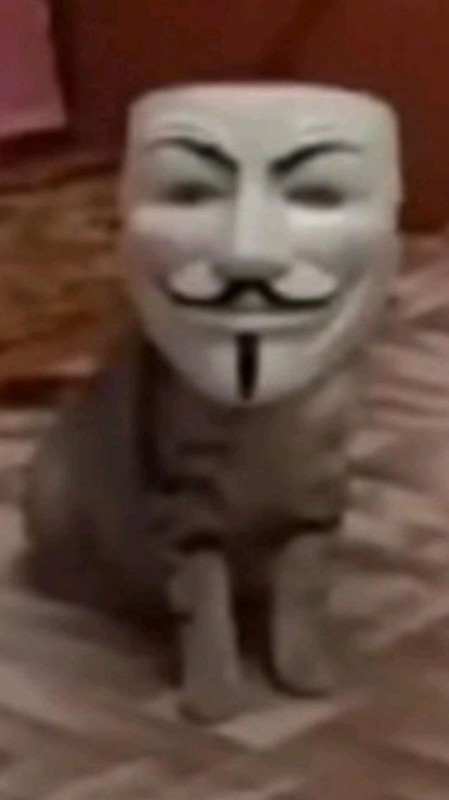 Создать мем: анонимус маска, маска анонимуса, кот анонимус мем