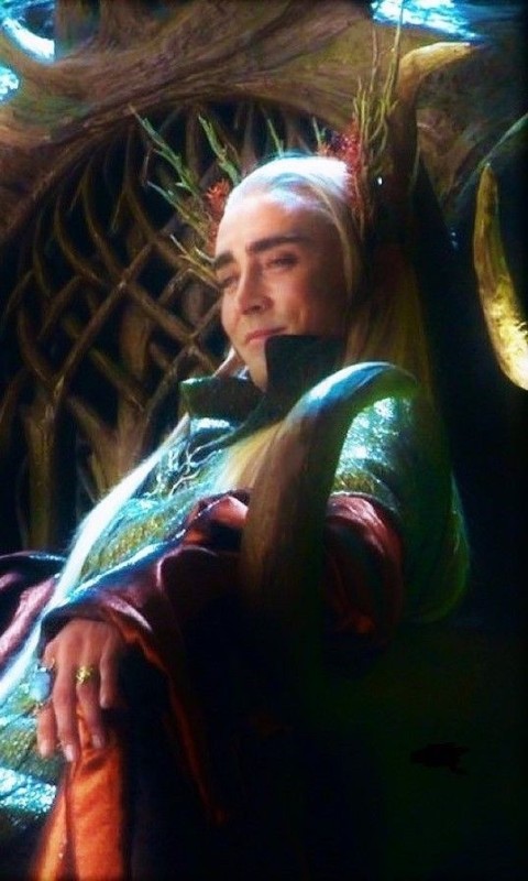 Create meme: thranduil the lord of the rings, thranduil the lord of the rings the fellowship of the ring, Lee Pace thranduil on the throne