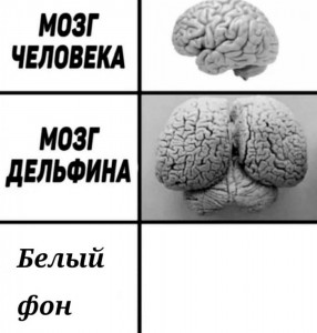 Создать мем: мозг прикол, мозг, человек мозг