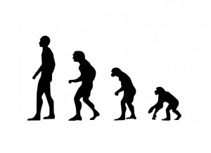 Create meme: evolution, the theory of human evolution, human evolution
