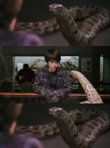 Create meme: Harry parcelling, Harry Potter parcelling, Harry Potter and the snake joke