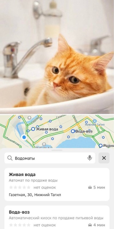 Создать мем: рыжий кот в ванной, кот в ванной, горячая вода кот