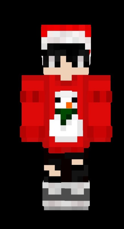 Create meme: Christmas skins, skins minecraft, skins for the new year in minecraft