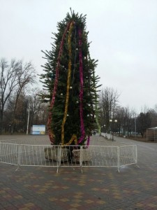 Create meme: yalinka, Christmas tree, the city Christmas tree