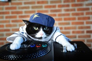 Create meme: cat DJ