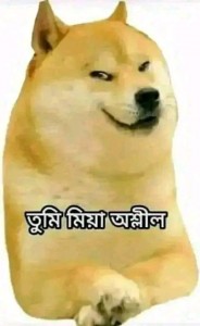 Create meme: doge dog, stickers in the telegram, telegram sticker