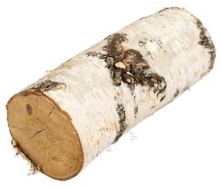 Create meme: wood pine, firewood birch, log clipart
