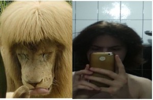 Create meme: the head of a lion, Leo