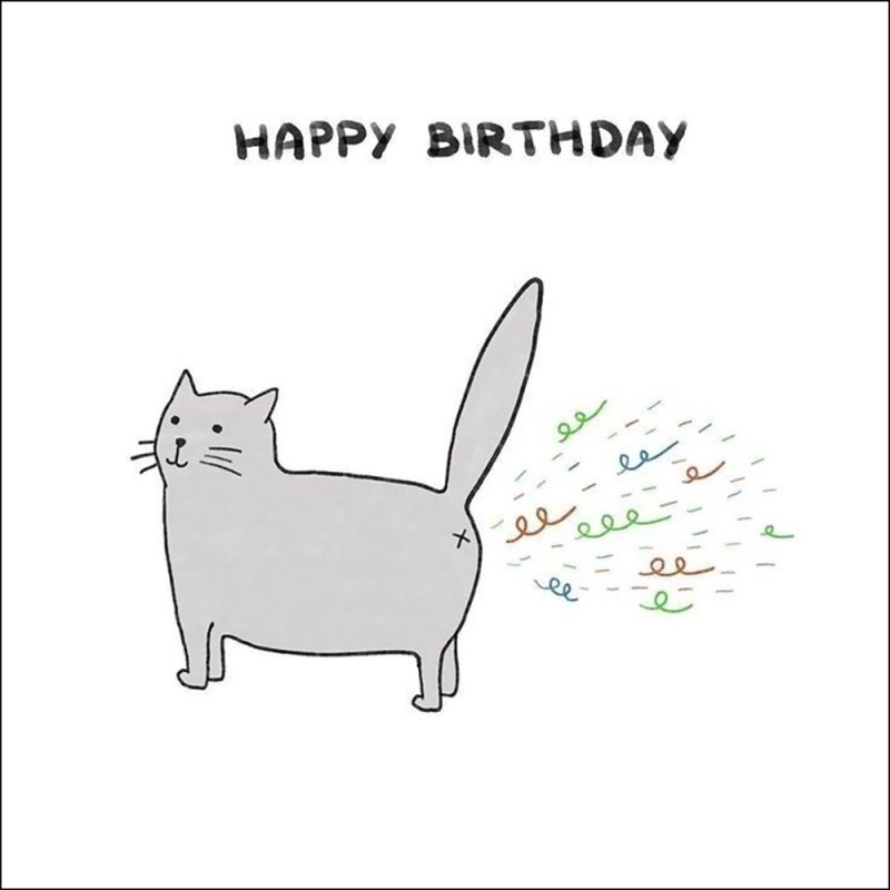 Создать мем: happy birthday, happy birthday cat, birthday cat