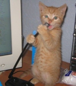 Создать мем: котята поют, рыжая кошка, котик перед микрофоном