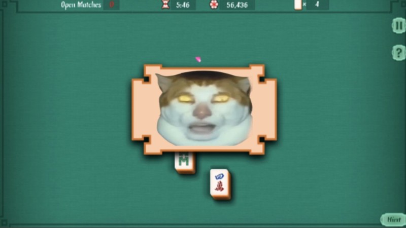 Create meme: cat game, the cat game, game