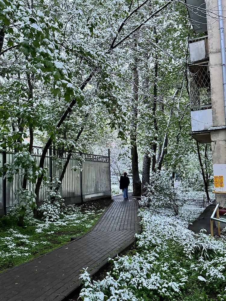 Create meme: Moscow botanic street rain spring, Spring is passing by, for the streets