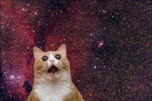 Создать мем: кот космос