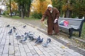 Create meme: meme pigeon, dove, feed the pigeons