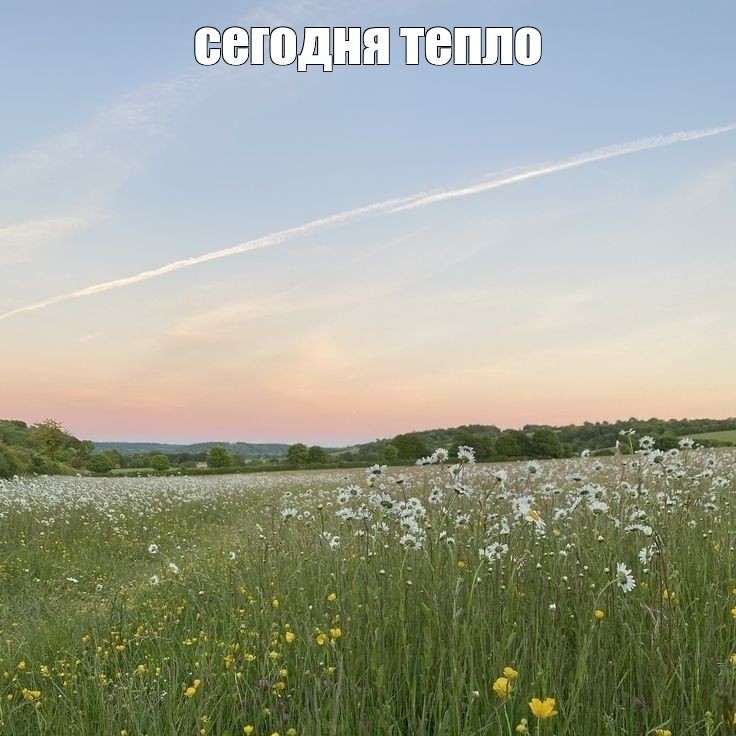 Create meme: summer , morning landscape, summer morning