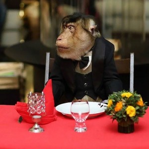 Создать мем: обезьяна, обезьянка в ресторане, обезьяна в ресторане