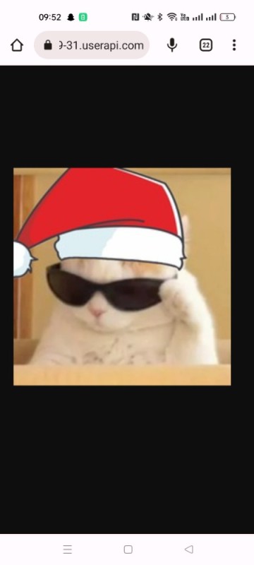 Create meme: cool cats, cat with sunglasses meme, cat with glasses