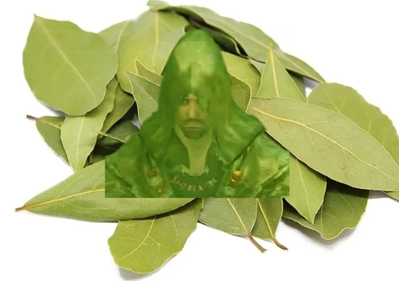 Создать мем: листья, лавровый лист 100гр, лавровый лист целый