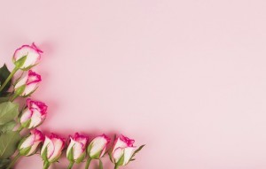 Create meme: roses, small rose buds background, Flowers