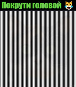 Create meme: fun shake your head, shake head pictures, shake your head and see