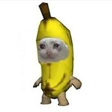 Создать мем: животные смешные, кот с бананом мем, банан