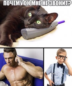 Создать мем: кот ремонтирует, смешные приколы, смешные кошки