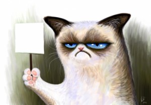Create meme: grumpy, grumpy cat, cat Motya