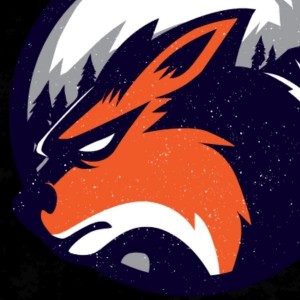 Create meme: fox team logo
