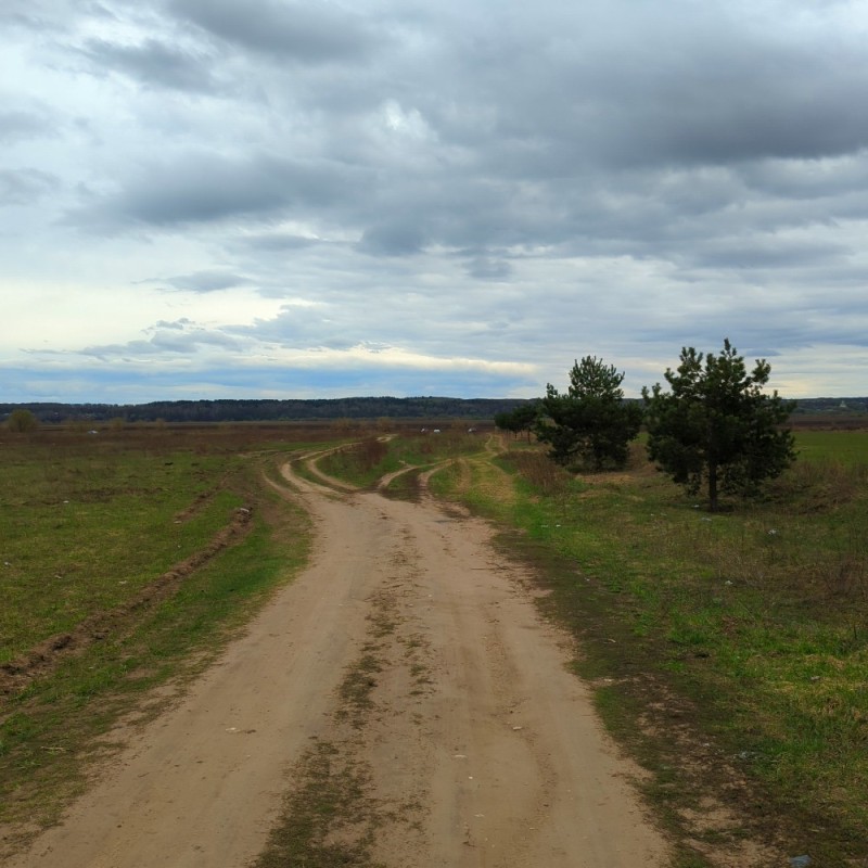 Создать мем: дорога в деревне, проселочная дорога, поле дорога