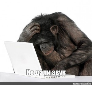 Создать мем: обезьяна за компьютером, обезьяна с компьютером, обезьяна думает за компом