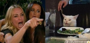 Create meme: the meme with the cat at the table and girls, MEM woman and the cat, meme with a cat and two women