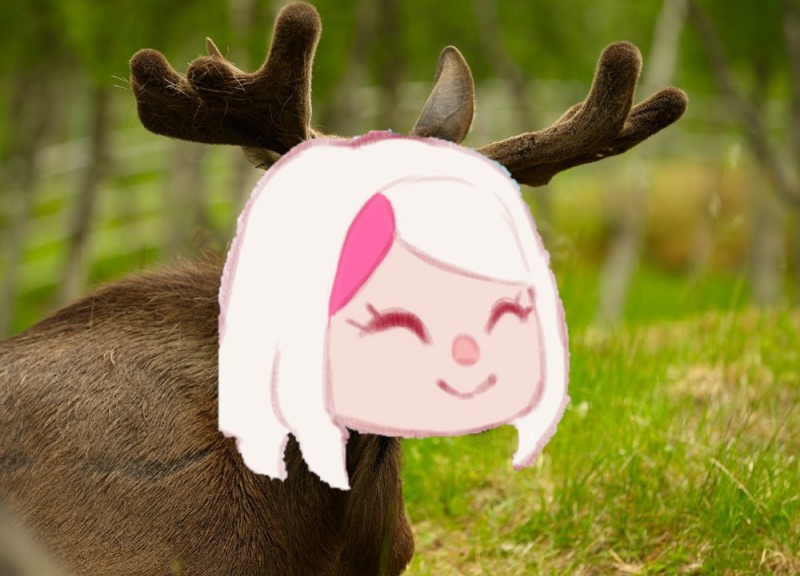 Create meme: moose , deer , Three moose
