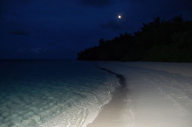 Create meme: beach at night, maldives beach, darkness