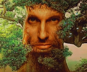 Create meme: tree nature, tree, male