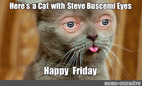 happy friday cat meme