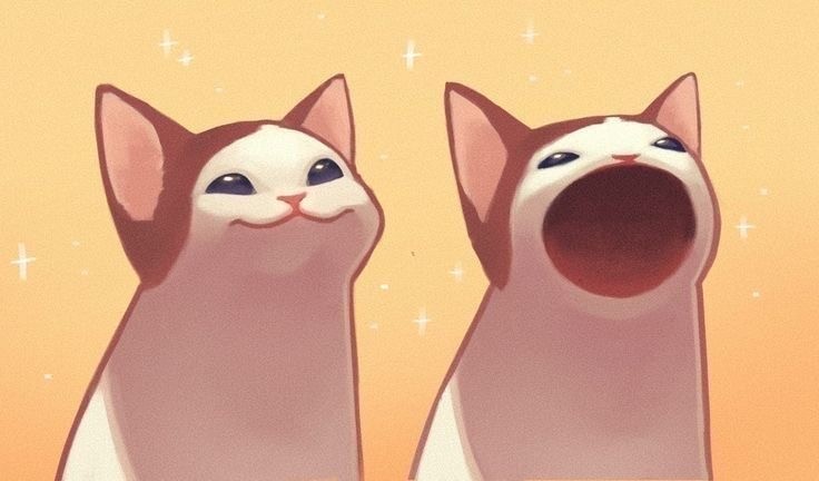 Создать мем: котики, милые котики смешные, pop cat