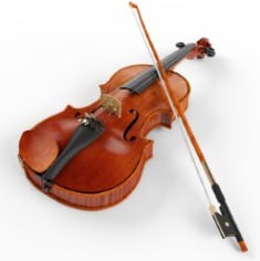 Create meme: violin, musical instrument violin, viola viola