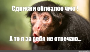 Создать мем: обезьяна с надписью, обезьяна, обезьяна удивление